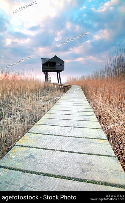 wooden path to observation tower, Netherlands