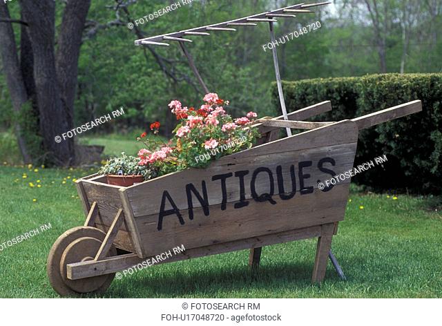 wooden wheelbarrow, decoration, Vermont, VT, An antique wooden wheelbarrow is decorated with spring flowers in Felchville in the spring