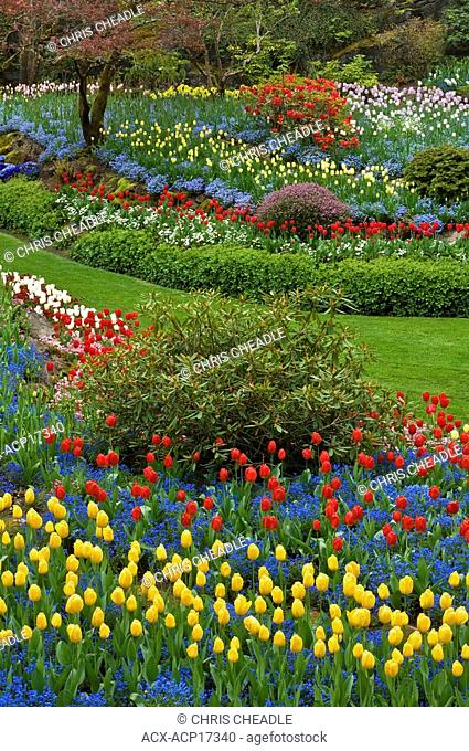 Sunken Garden in springtime, Butchart Gardens, Victoria, Vancouver Island, British Columbia, Canada