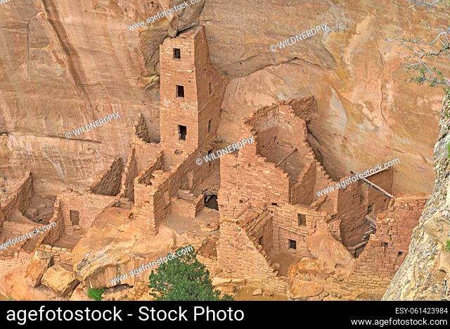 Cliff Dwelling in a Canyon Wall at the Square Tower House in Mesa Verde National Park