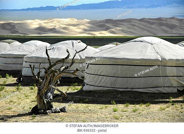 Yurts, Ger camp in the Gobi Desert, Khongoryn Els, Gurvan Saikhan National Park, Mongolia, Asia