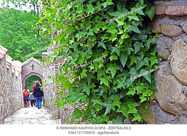 Nunnery Bodbe (4th-8th century) in Georgia (Kakheti) - monastery garden, recorded on 21.05.2019 | usage worldwide. - Sighnaghi/Georgien