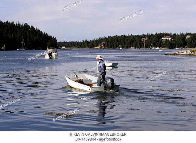Man in dinghy, Isle au Haut, Arcadia National Park, Maine coast, New England, USA