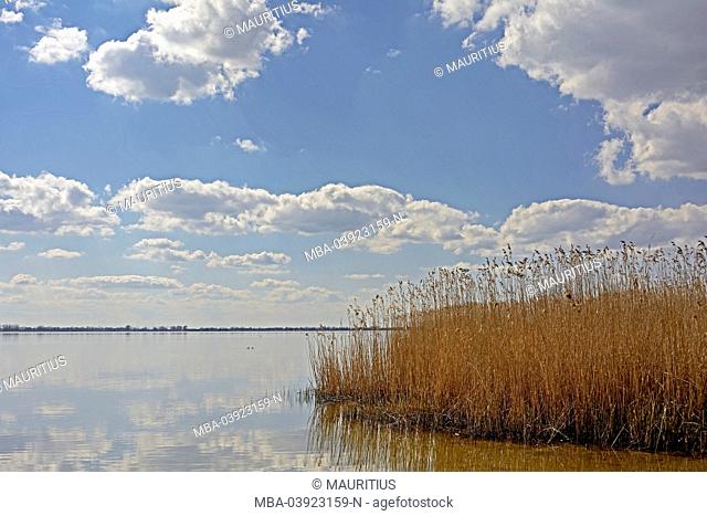 Miedwie-See lake near Szczecinski