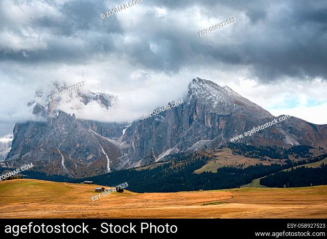 Landscape with beautiful autumn meadow field and the amazing Dolomite rocky peaks the valley of Alpe di siusi Seiser Alm South Tyrol in Italy