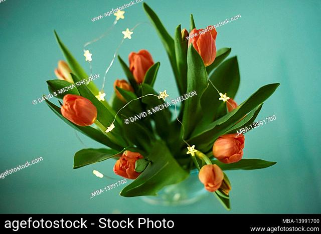 tulip bouquet, garden tulips, tulipa gesneriana, blossoms, bouquet, vase, table, decoration