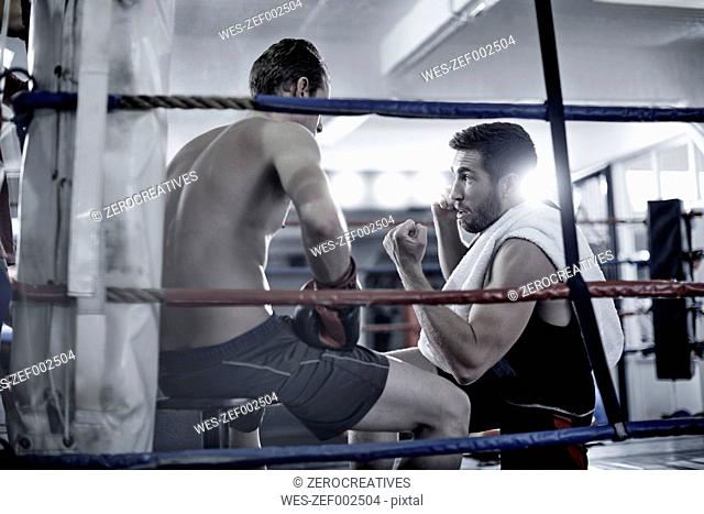 Boxer having a break with trainer in the corner of the boxing ring