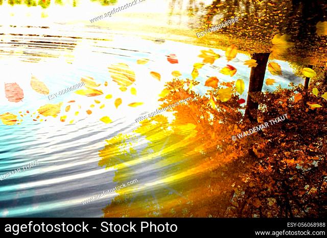 Beautiful autumn background with yellow and red leaves