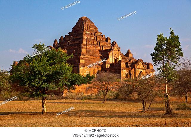 The 12th century DHAMMAYANGYI PAHTO or TEMPLE is the largest in BAGAN and was probably built by Narathu - MYANMAR - 11/05/2012