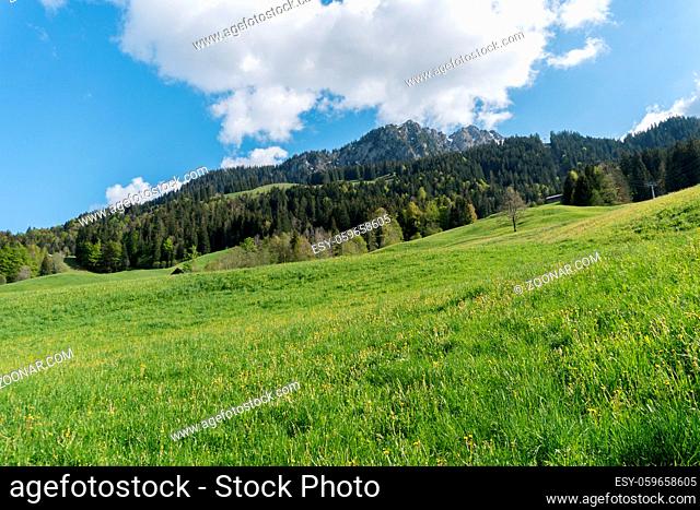 picturesque mountain landscape in the Swiss Alps on a beautiful summer day near the Jaunpass in canton Fribourg