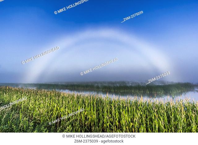 Fogbow forms over flooded fields. Field flooding due to the historic 2011 Missouri River Flood