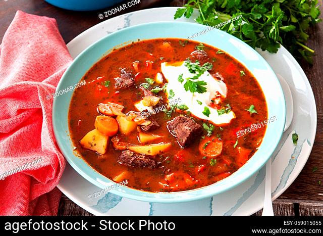 Defrige Suppe / Eintopf mit Rindergulasch und frischer Petersilie