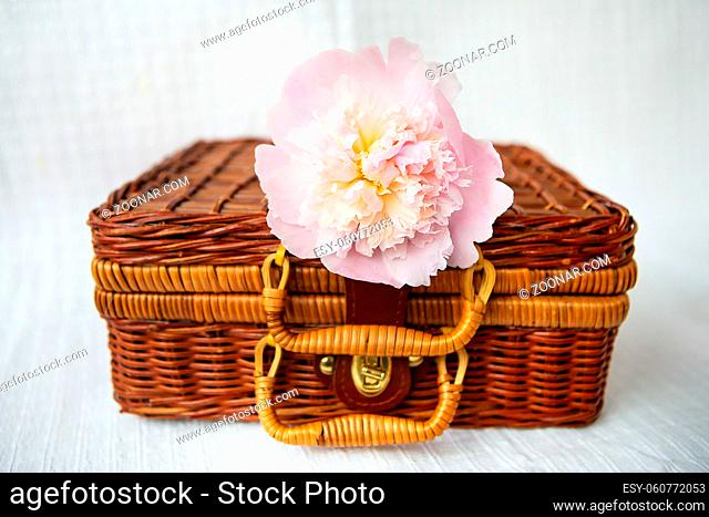 Beautiful pink peonies lie on a wooden suitcase. Beautiful composition. Close-up