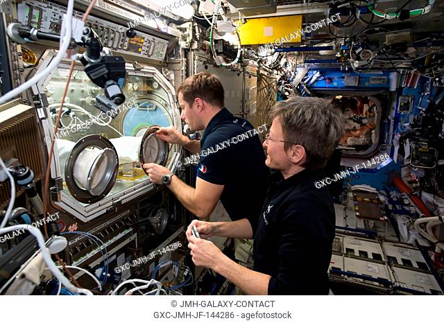 NASA astronaut Peggy Whitson (right) and ESA (European Space Agency) astronaut Thomas Pesquet setup the Microgravity Science Glovebox (MSG) for the Microgravity...