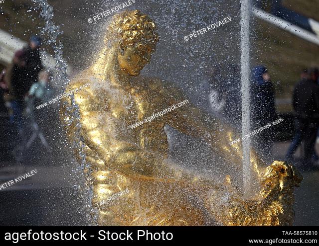 RUSSIA, ST PETERSBURG - APRIL 22, 2023: A view shows the Samson Tearing Apart the Lion's Jaws fountain in the Lower Park during the beginning of the fountain...