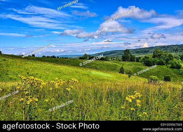 Summer landscape of meadows with yellow wild flowers at foreground and hills with forests covered and blue sky with clouds on a background