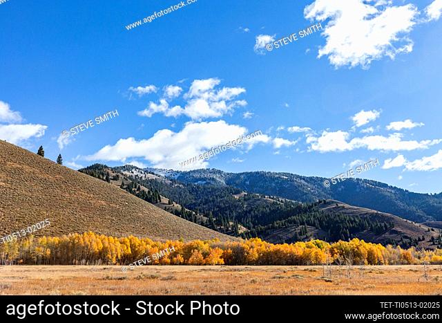 United States, Idaho, Sun Valley, Bald Mountain of snowy mountains