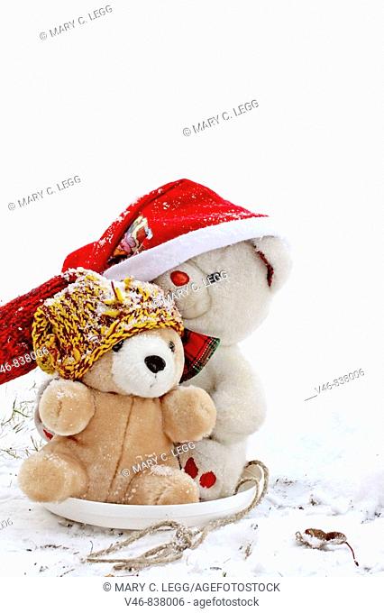 Two Teddy Bears go sledding on a frisbee on a cold January morning