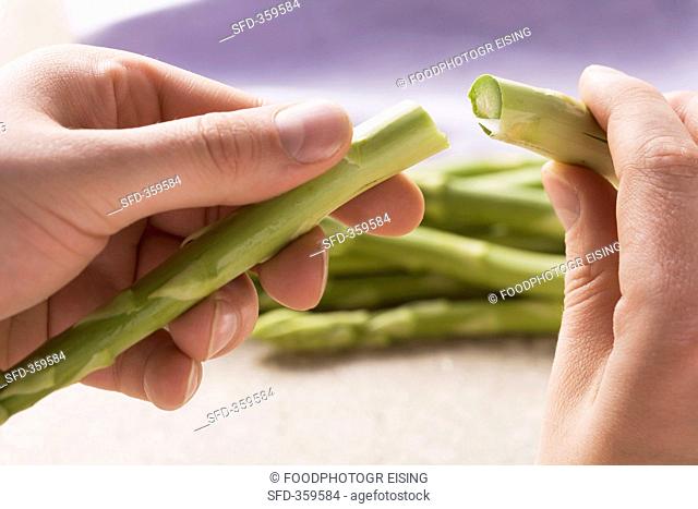 The woody end being broken off green asparagus