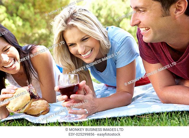 Group Of Friends Enjoying Picnic Together