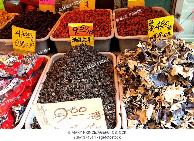 Exotic Mushrooms for Sale in Chinatown, New York City