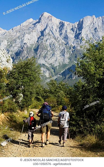 Mountaineers walking in the mountains of Andara Massif  Brez, in the municipality of Camaleño, in the Liébana Valley  Picos de Europa National Park  Cantabria...