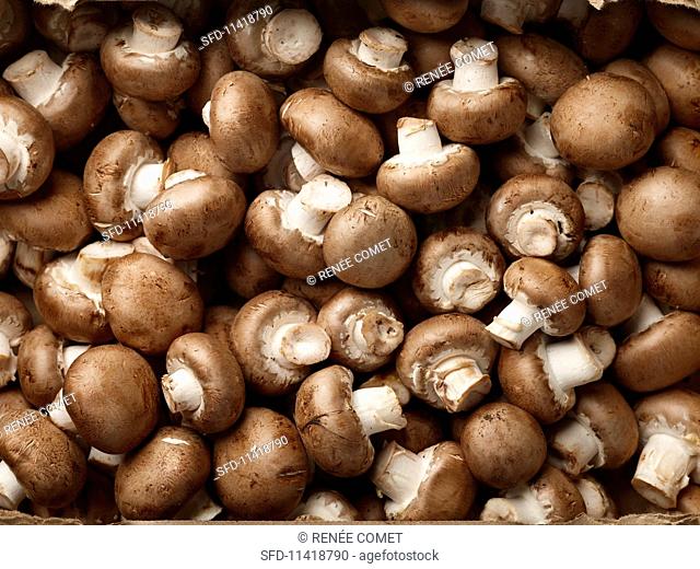 Brown mushrooms (full frame)