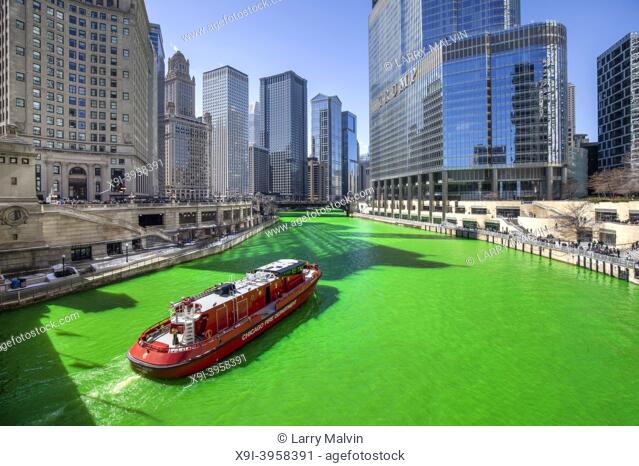 A Chicago fire department boat cruises along the Chicago River that has been dyed green in celebration of St. Patrick's Day in downtown Chicago as thousands of...