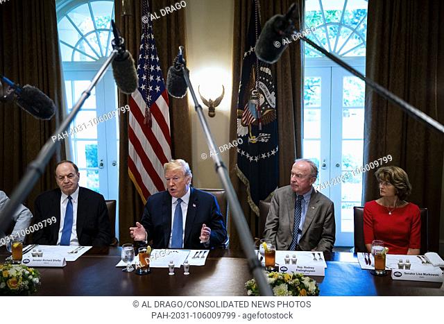U.S. President Donald Trump speaks during a lunch meeting with Republican lawmakers, in the Cabinet Room at the White House in Washington, D.C., U.S