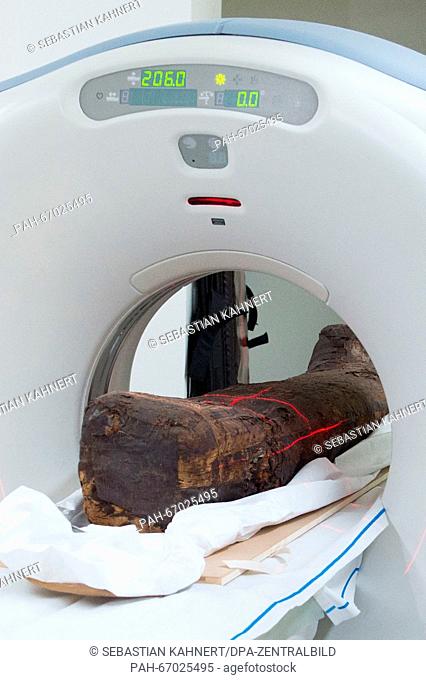 A computed tomography (CT) scan is performed on a 1600-year-old mummy at the Friedrichstadt Hospital in Dresden,  Germany, 01 March 2016