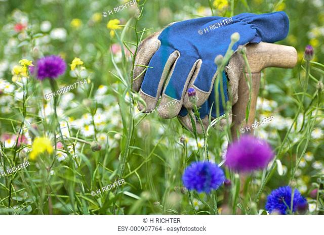 Gardeners working gloves in a wild flower meadow