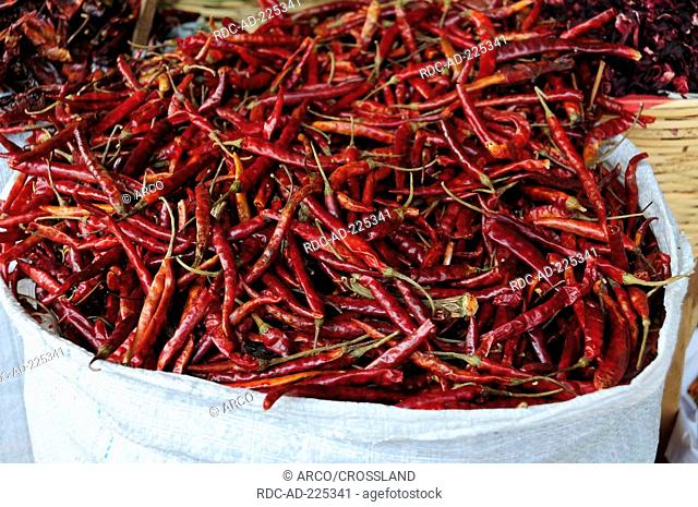 Chilis, market of Oaxaca, Mexico