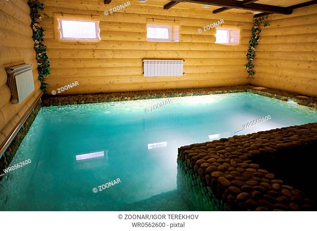 pool in a wooden sauna