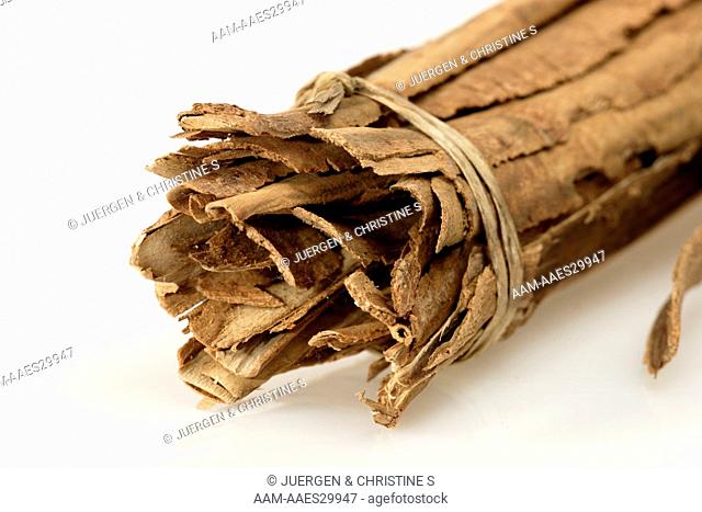 Cinnamon (Cinnamomum verum) bark, Nosy Be Madagascar