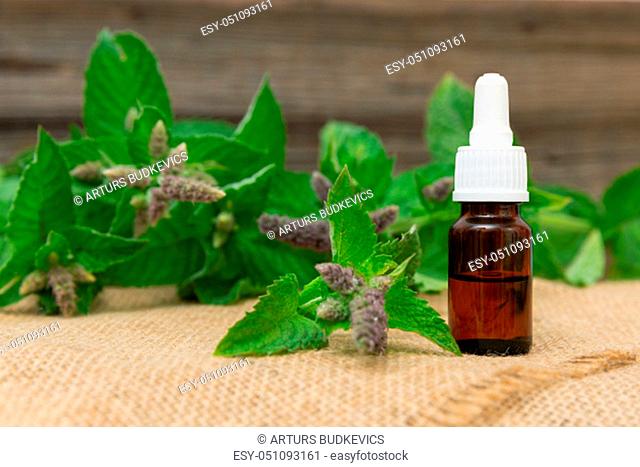 Natural peppermint essential oil in a glass bottle with fresh mint leaves on wooden background