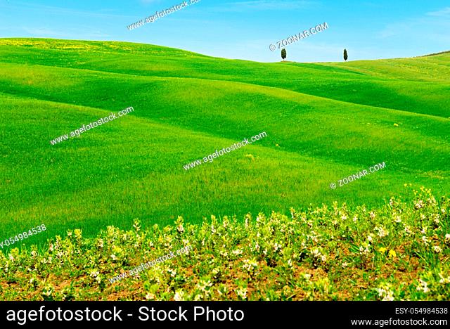 Beautiful spring minimalistic landscape with green hills in Tuscany countryside, Italy
