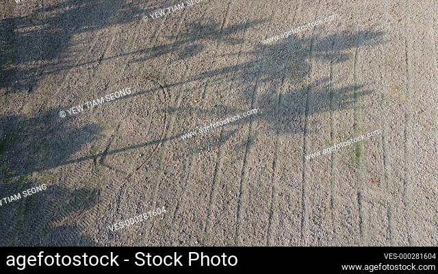Shadow of coconut palm tree at plowed agricultural field