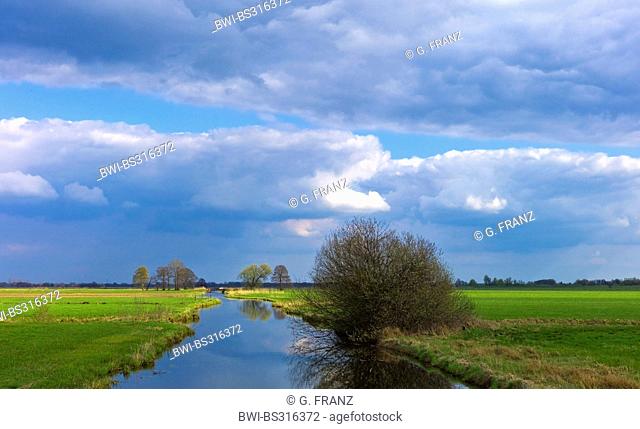 ditch in meadows Wuemmewiesen, Germany, Lower Saxony, Osterholz, Ritterhude