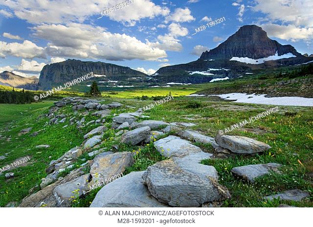 Alpine meadows at Logan Pass, Mount Reynolds is in the distance, Glacier National Park Montana USA