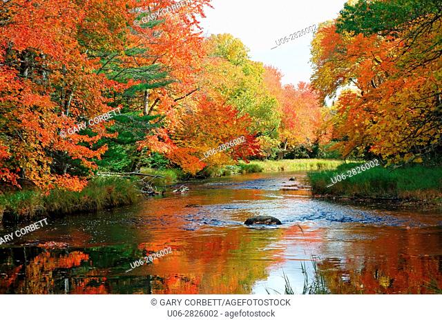 Mersey River, kejimkujik National Park, Nova Scotia, Canada in the fall color