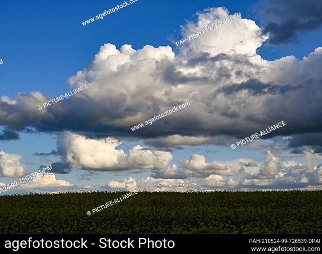 23 May 2021, Brandenburg, Lietzen: Clouds drift across the landscape. Photo: Patrick Pleul/dpa-Zentralbild/ZB. - Lietzen/Brandenburg/Germany