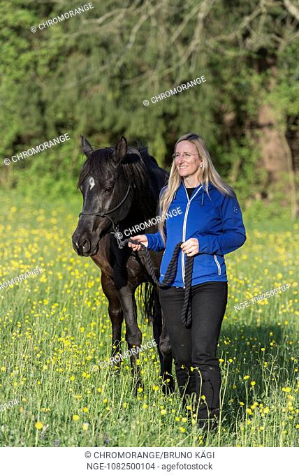 blonde woman with black Arabian horse in field of flowers