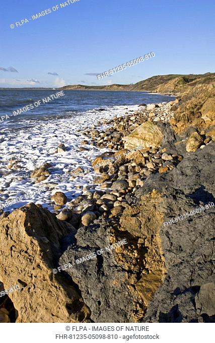 View of rocky shore showing recent erosion after winter storms, Osmington, Dorset, England, January