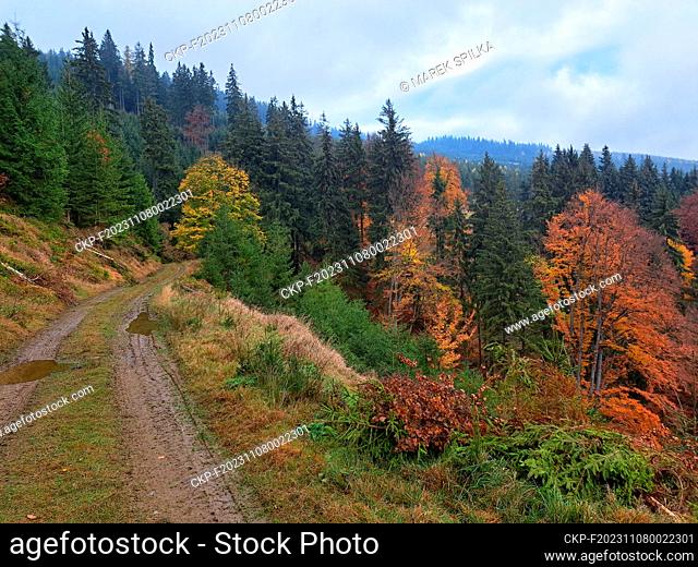 Autumn colours on the Polish side of the Giant Mountains. (CTK Photo/Marek Spilka)