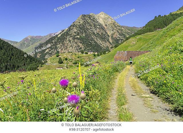 granjas de biadós, Valle de Añes Cruces, parque natural Posets-Maladeta, Huesca, cordillera de los Pirineos, Spain