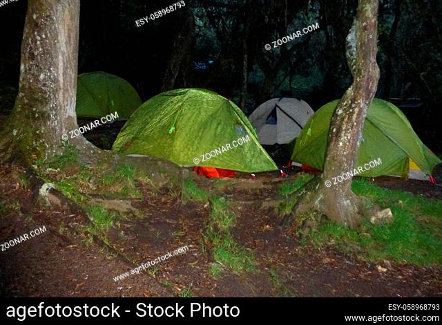 humid and wet campsite in the tropical rain forest on Mount Kilimanjaro on the Umbwe Route