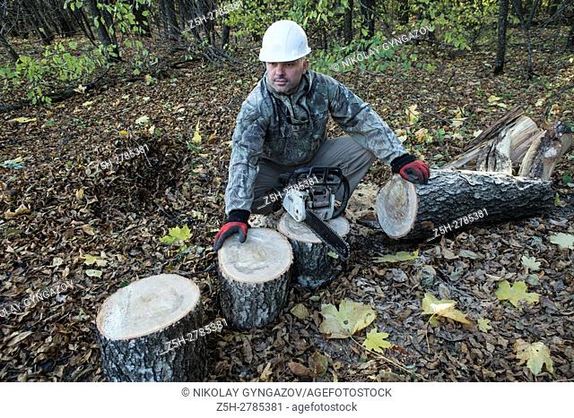 Russia. Belgorod region. Firewood