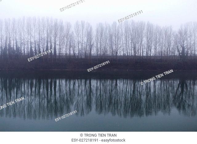 A line of trees beside reflects in the river on a foggy day in the countryside - Landscape