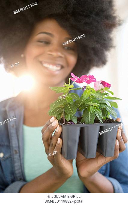 Mixed race woman holding potted flowers