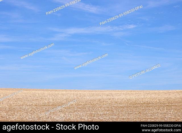 29 August 2022, Bavaria, Waldbrunn: A harvested field lies in the sunshine. Photo: Karl-Josef Hildenbrand/dpa. - Waldbrunn/Bavaria/Germany